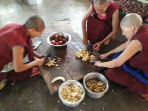 Nonnen Tibet.de Patenschaften Ernährung